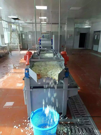 蔬菜涡流清洗机在杭州味捷食品公司收到好评
